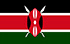 Zarabiaj gotówkę w TGM Panel w Kenii
